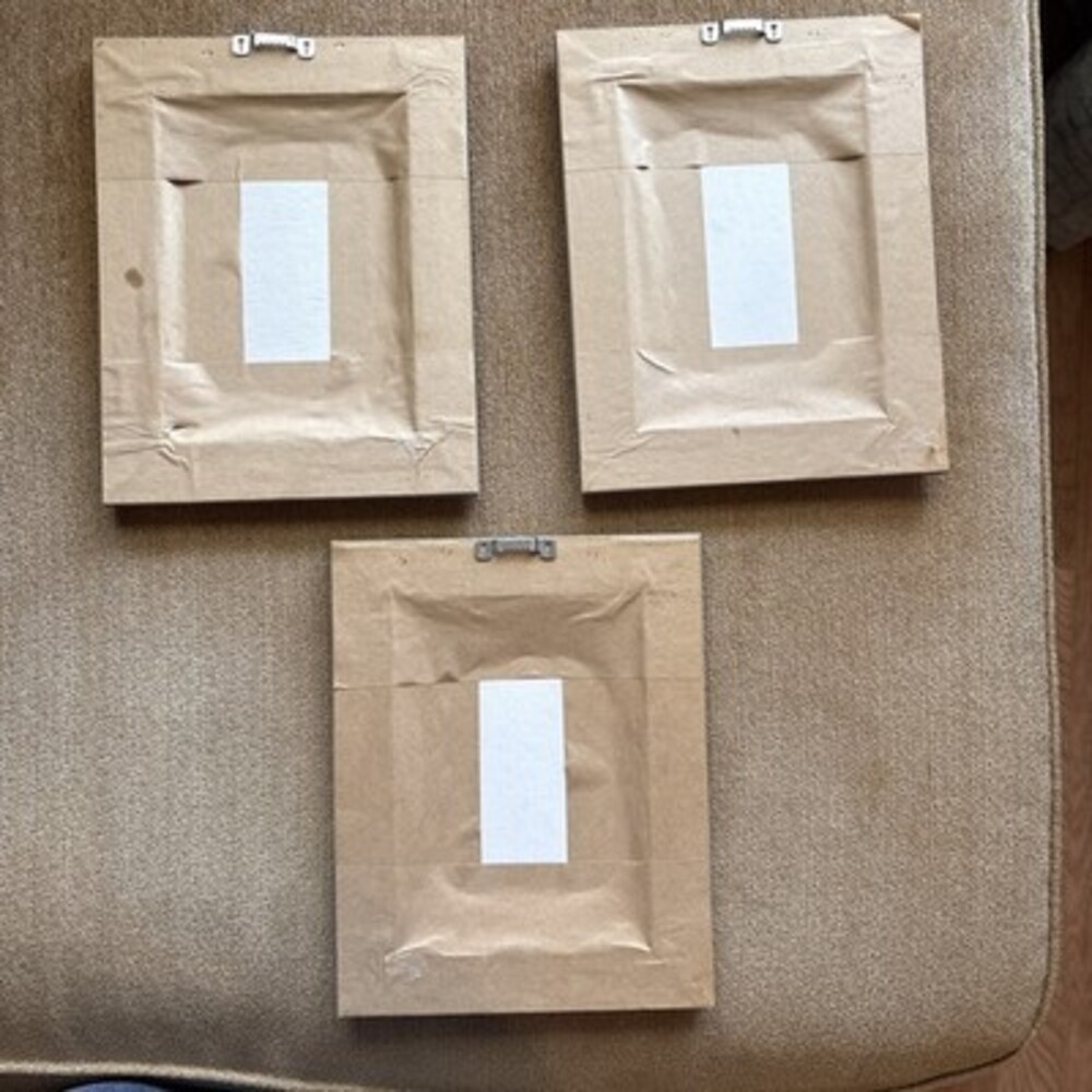 EUC Set Of Three Herb Portraits Thyme Sage Basil, Faux Wood Frame, 9 1/2 X 7 1/2 - Picture 9 of 12